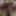 My Hairy Pussy Close Ups American Milf 15