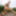 Petite Beauty Kristi Takes of Skirt Wearing Tan Pantyhose