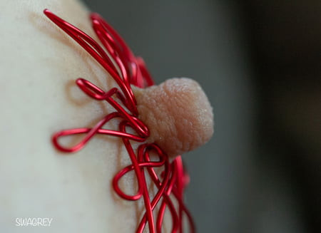 Mature - Nipple Jewellery
