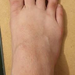 Feet