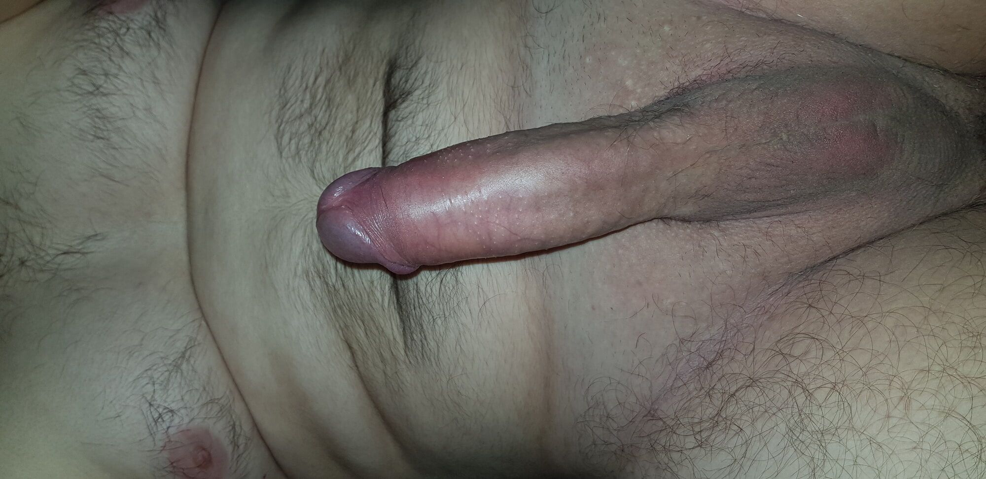 Shaved uncut cock #5