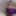 Violet Sissy Bimbo Harley Quinn Uniform Brandynette Aug 2019 #17