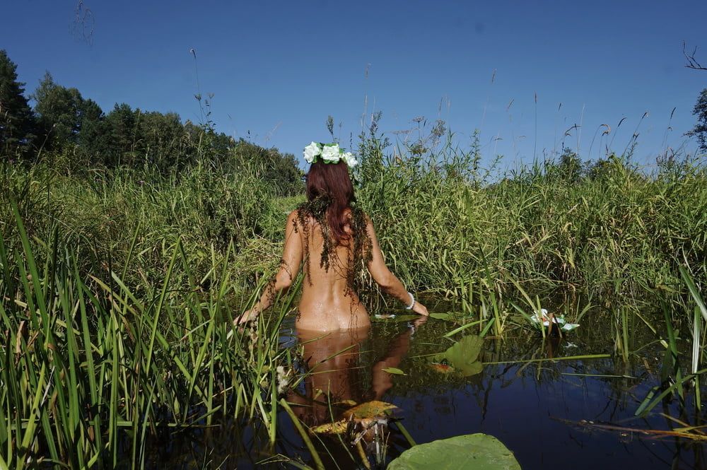  In Pond with Waterflowers 2 #35