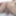 Humping is so much fun, especially on cam! - ilovetobenaked #7