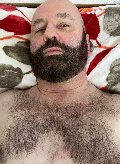 Bear Gaybear Daddy Fur Furry Hairy