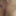 random pics Feb 2020 #17