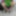 Flowersex786