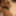 Creampied the Tightest Japanese Pussy GIFs from Latest Video