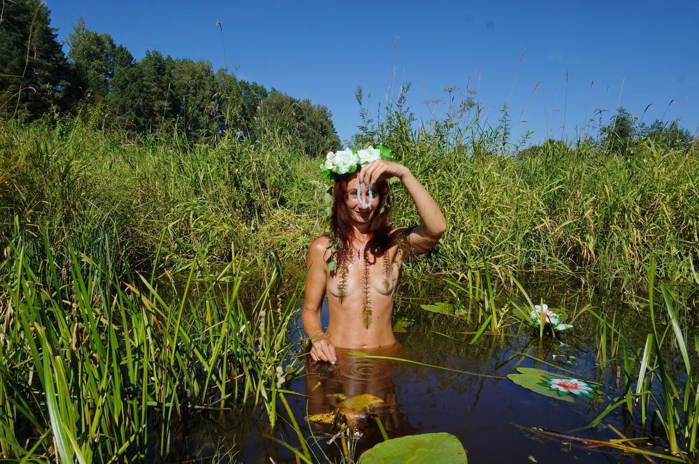 In pond with waterflowers #23