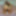 Fuck Toy Pics #16
