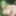 "Busty Elf Girls Wild Masturbation & Explosive Squirting 