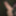 私のチンポの新しい写真