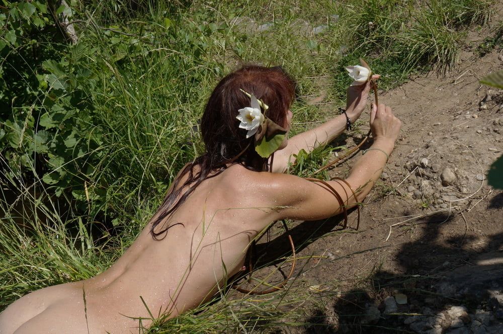 On beach with waterlilac flowers #11