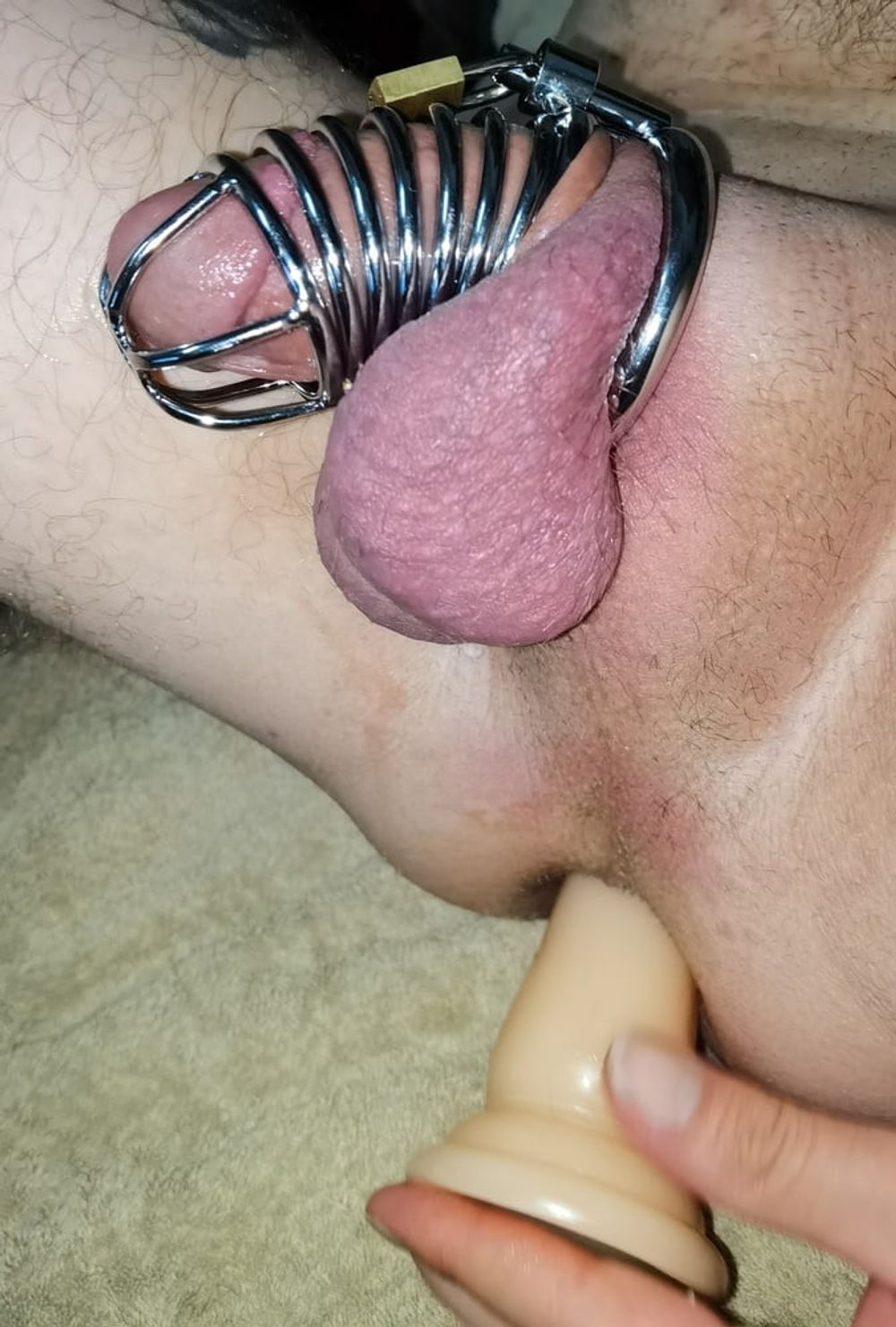 Chastity and Anal #21