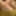 YoungEnglishBBW my big boobs random pics 