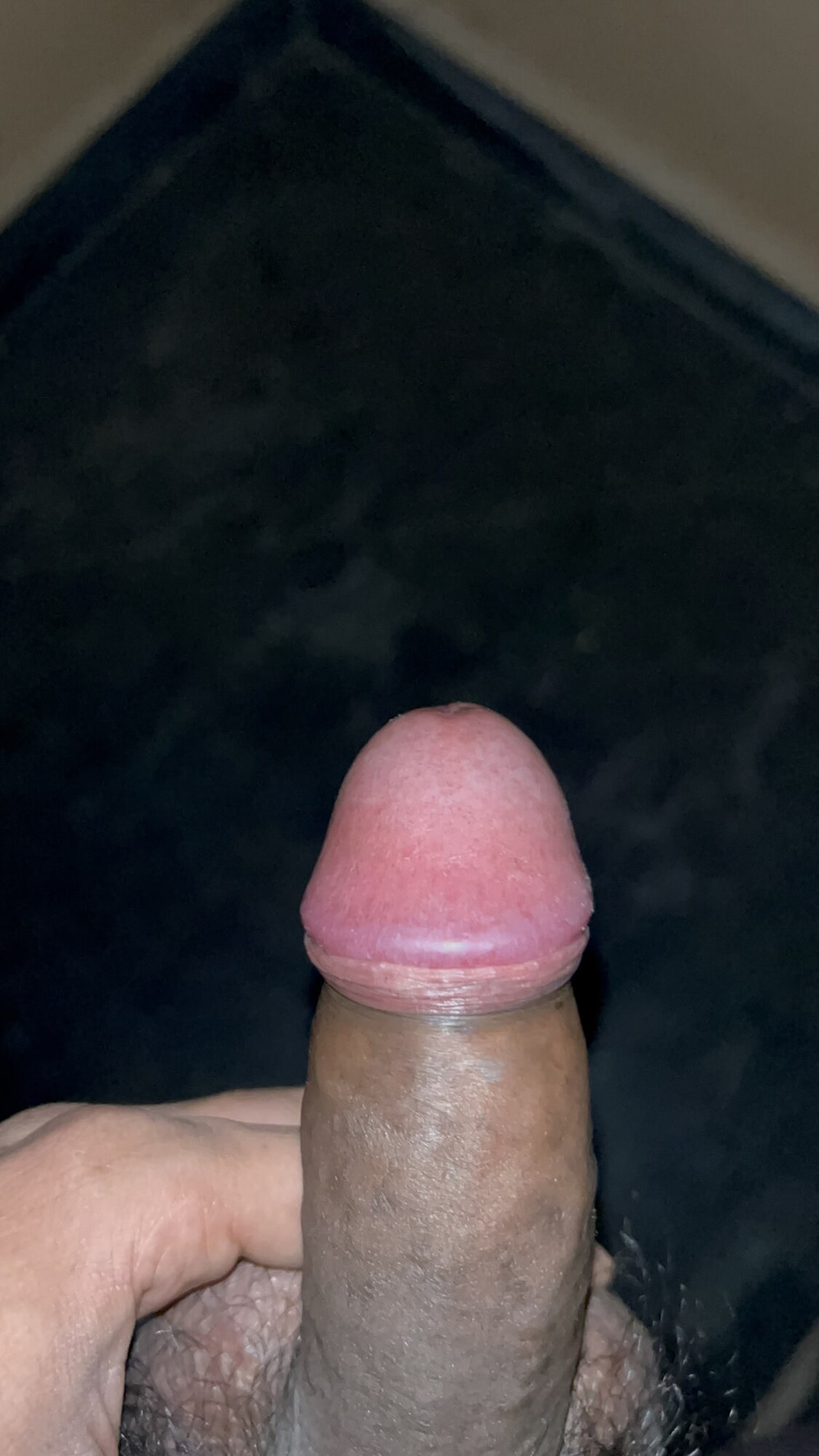 dick #2