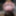 BBW wife sexy holiday #59