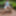 Muslim milf goes for a walk in the park and shows herself i