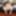 GROOBY.CLUB: Big Butted Sofia Suxxx!