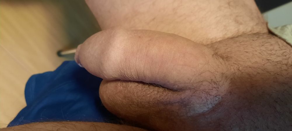 Horny cock  #2