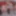 NORDICXMAS-MORE: https://xhamster.com/users/radicalpictures