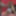 Dick Flash and Public Masturbation CFNM Videos