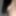 Tits and hair