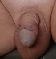 Kleiner Penis 