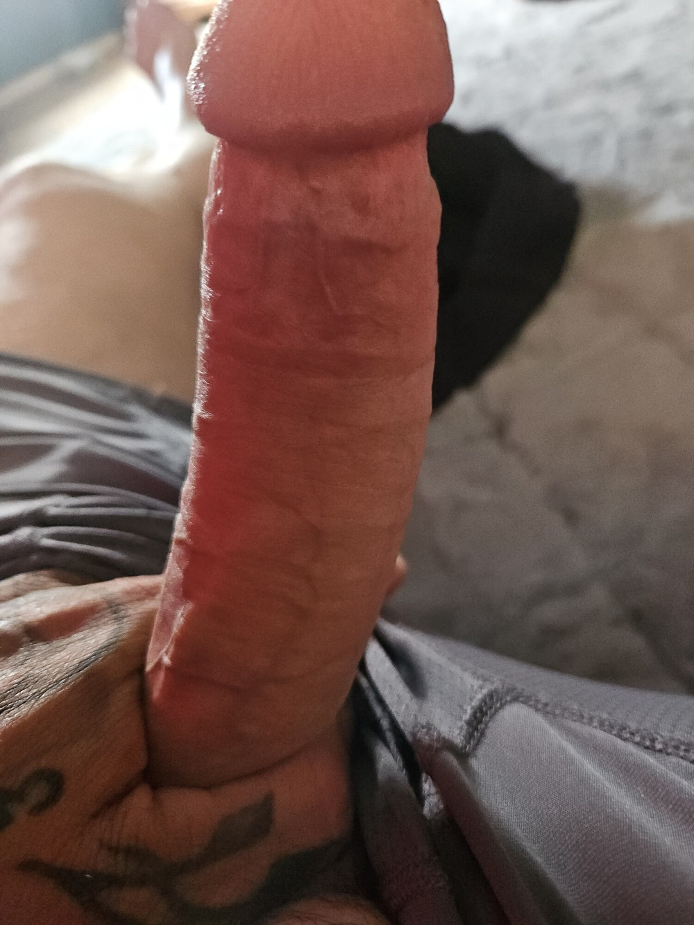 Cocks  #3