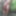 Tygra slut nude in the forest of the Robertsau. #15