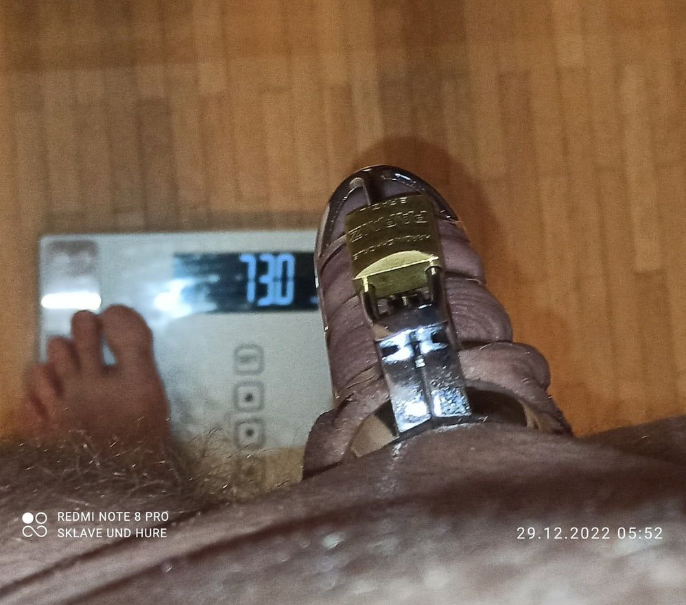 mandatory weighing and cagecheck of 29.12.2022 #8