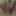 Annadevot - Enjoy my cunt in close-up #2
