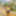 Slim Free Photos #6