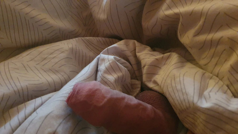 Penis #4