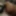 Ücretsiz Aroara Fotoğrafları