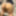 Masked Kitty Blue Kitten BBW Housewife Lingerie Shoot