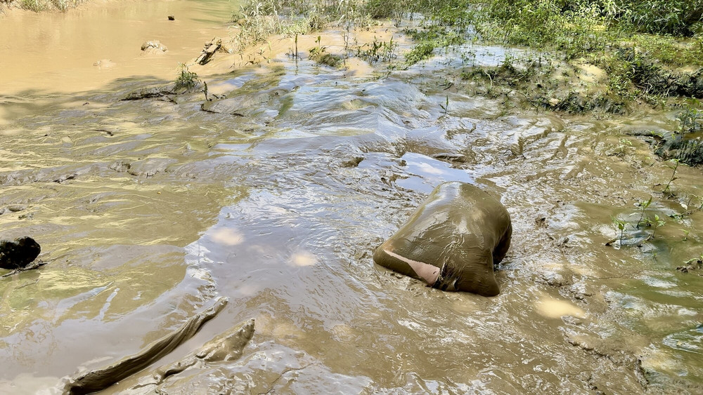 SHOT - HOW DEEP IS THE MUD ? #7