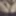 Me in pictures 