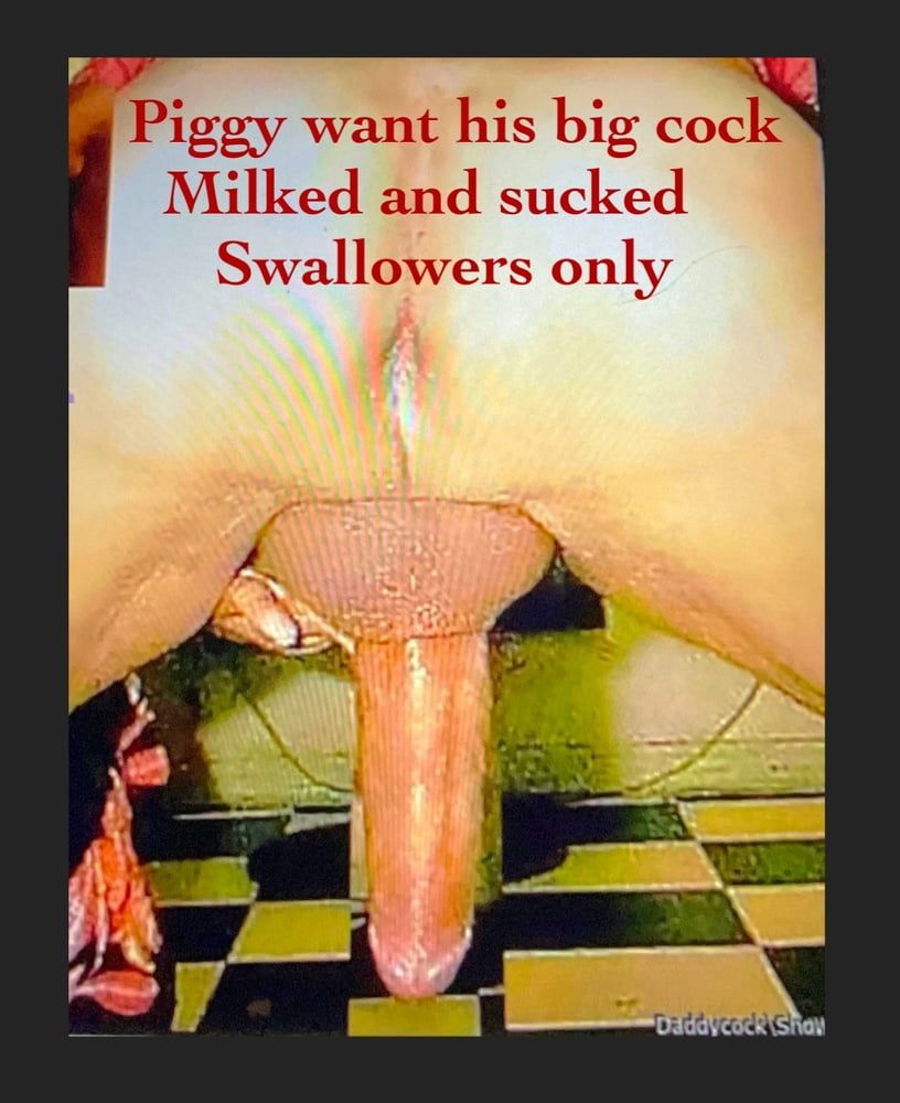 Piggy wants his cock milked