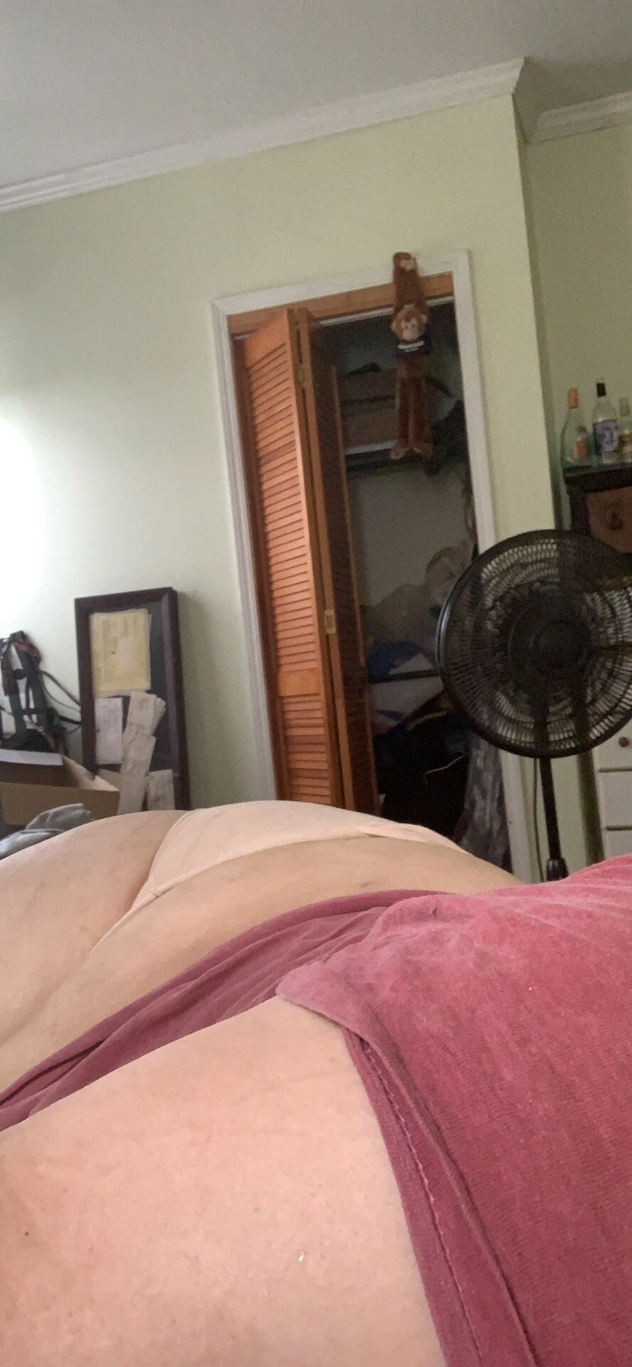 My ass #2