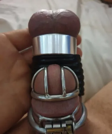 chastity pussy cock anal         