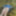 Cover up, reveal #55