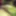 Dig Images