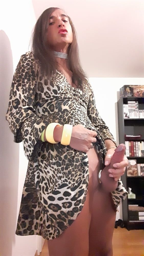 Sissy Tygra in leopard dress on 2019 octobre. #11