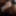 Boldinddude cum on fingers video on only fans 