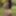 Fernanda Twerk Free Photos #4