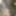 New close ups  #4