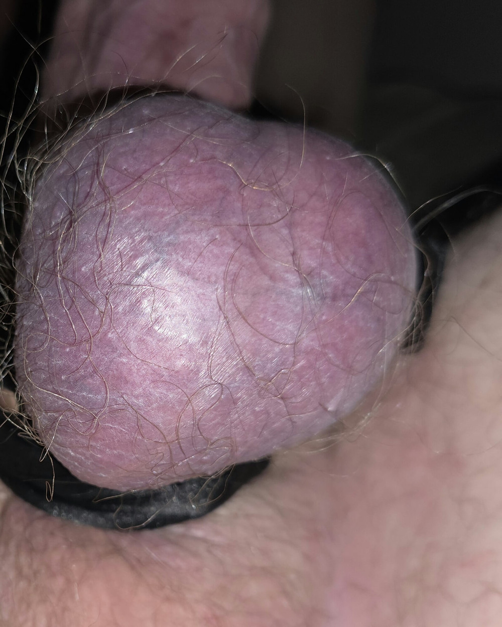 I need a nickname for my cock.  #5