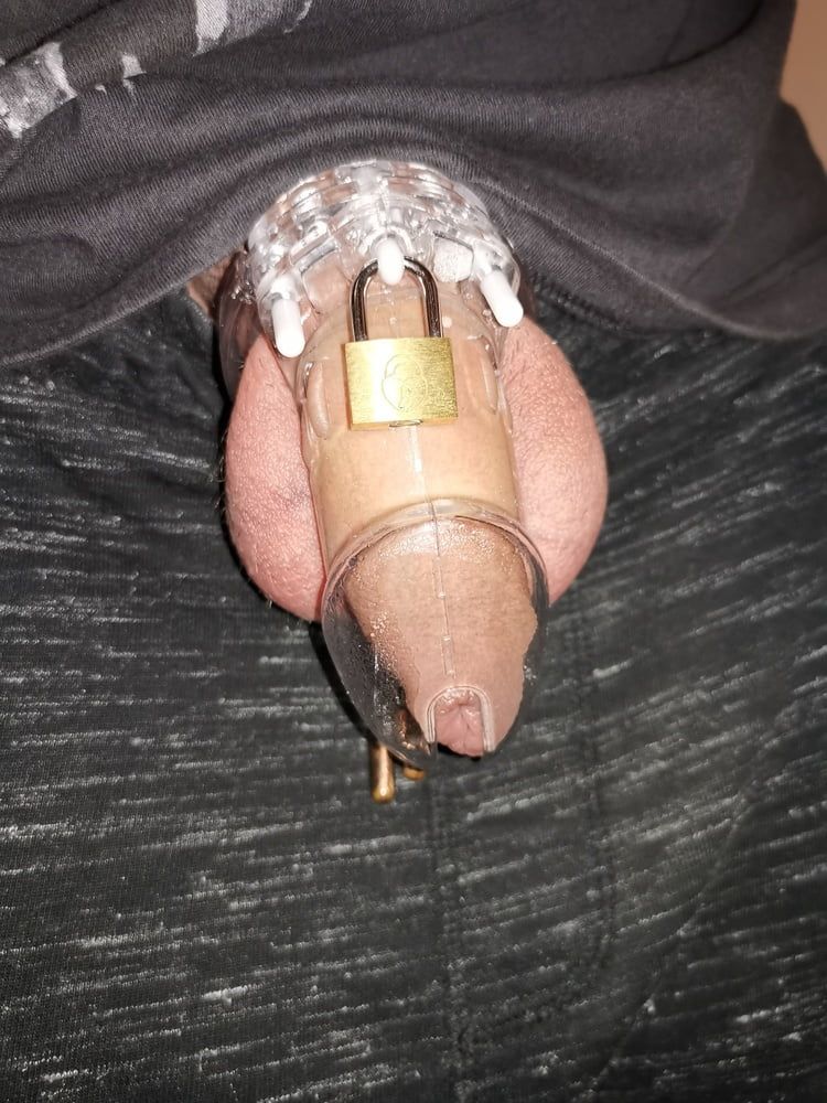 My first chastity #11