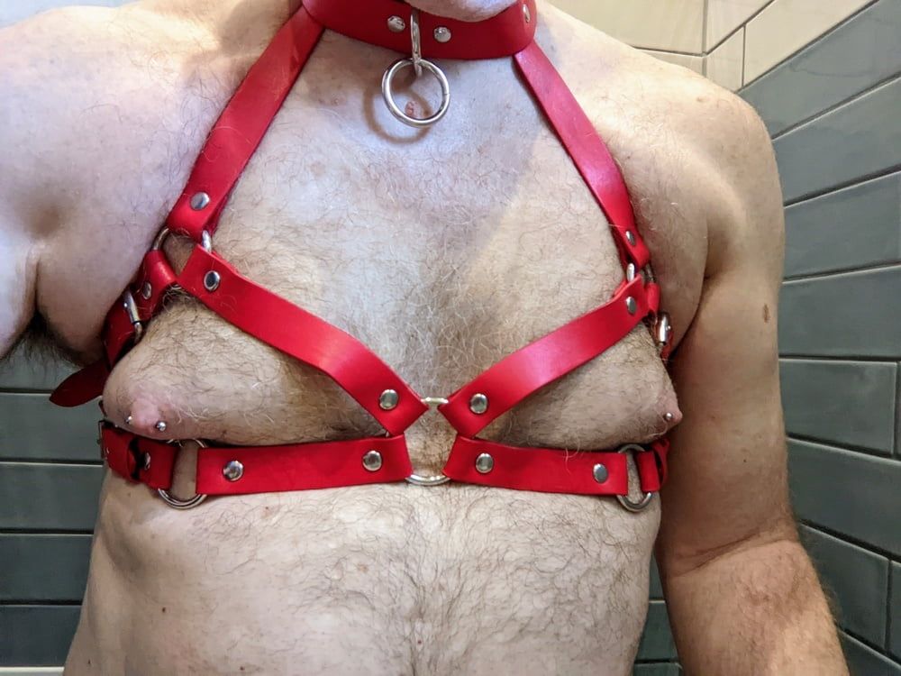 Boob harness #28